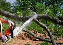 Best Lawn Irrigation Installation and Maintenance  in Quail Creek, TX